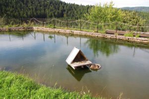 Hasenhof Wolfach Ferienwohnungen Schwarzwald Freizeit Urlaub Ausflug