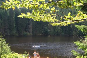 Hasenhof Wolfach Ferienwohnungen Schwarzwald Freizeit Urlaub Ausflug